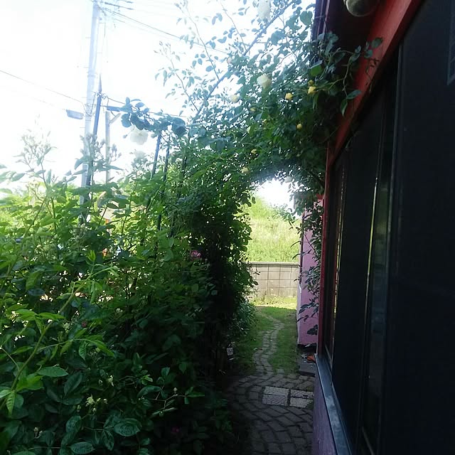 ganamiさんの実例写真