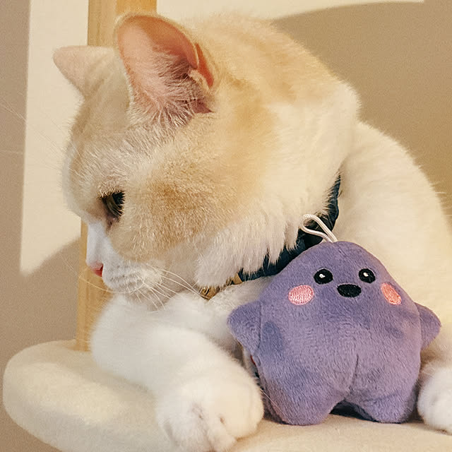 madeleineさんの実例写真
