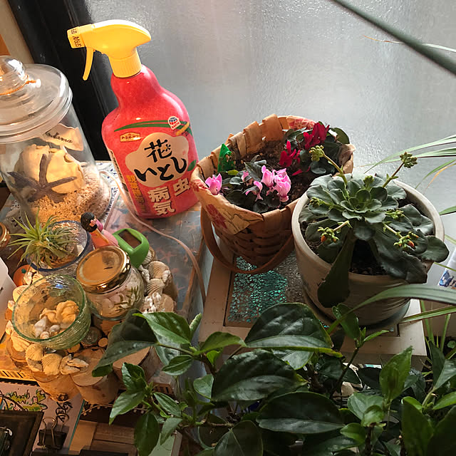 Malamaさんの実例写真