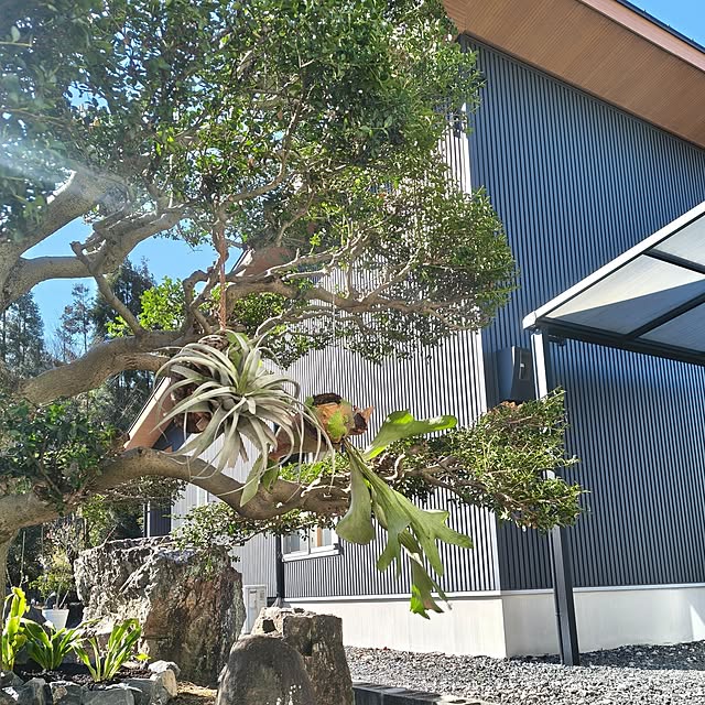 Rubiconさんの実例写真