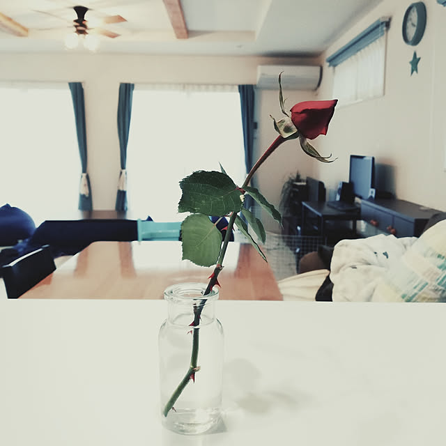 moricoさんの実例写真