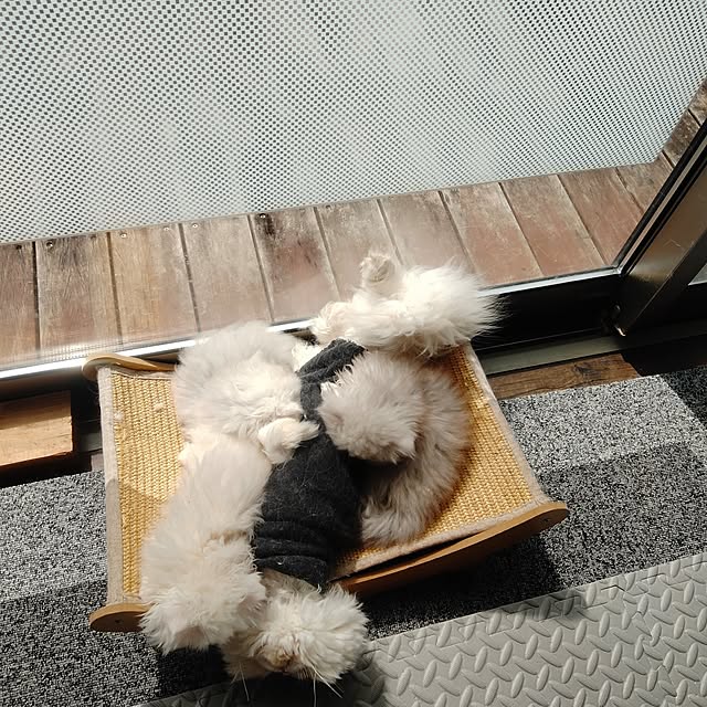 makaronさんの部屋