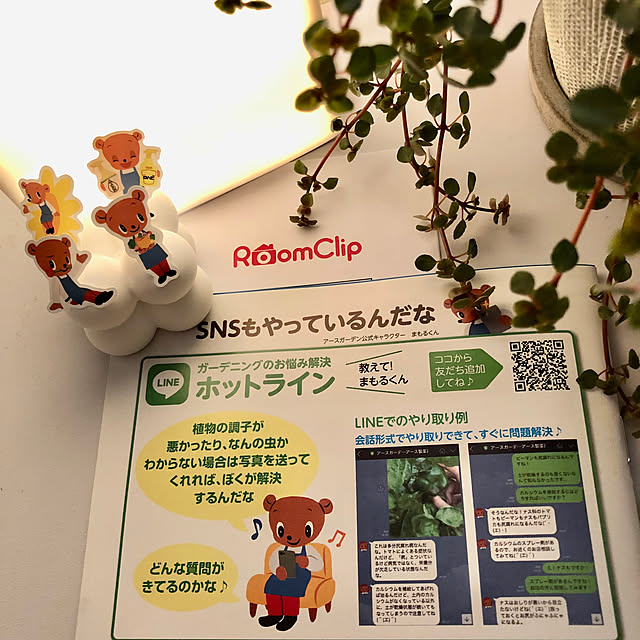 kyoko1124koさんの実例写真