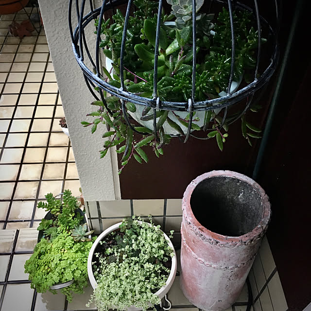 burgundy.roseさんの実例写真