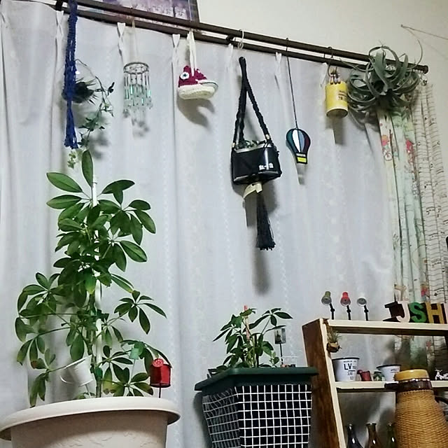 abiさんの実例写真