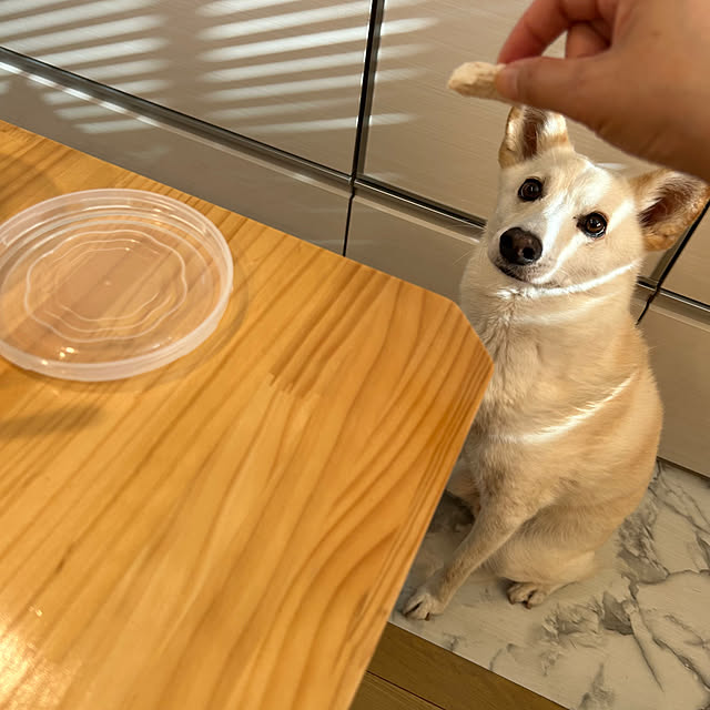 tanboさんの部屋
