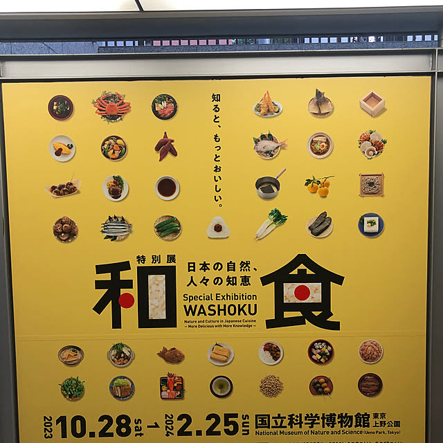 Toruさんの部屋