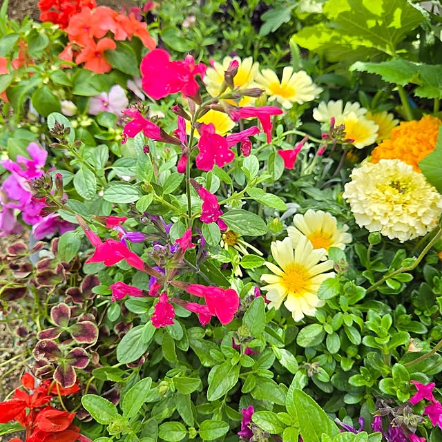 min_nimさんの部屋