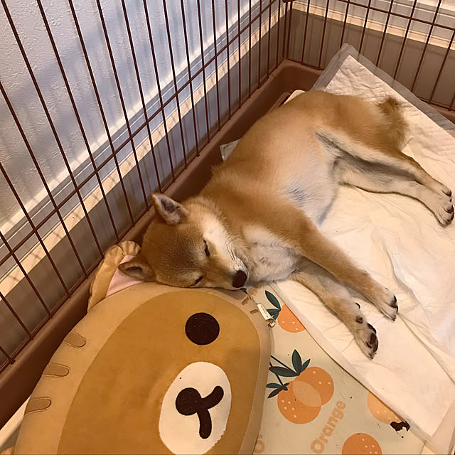 hyrs214さんの実例写真