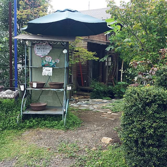 sakuraさんの実例写真