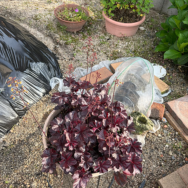 ritsukoさんの部屋