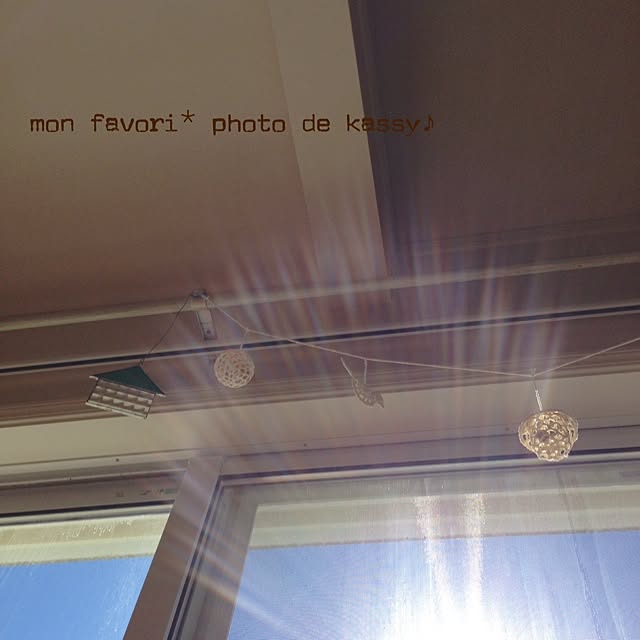 kassyyomeさんの実例写真