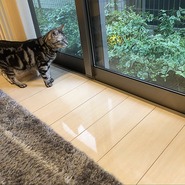 rierieさんの実例写真