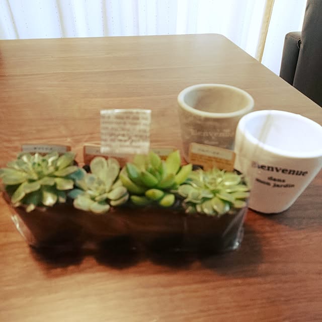 lovepeaceさんの実例写真