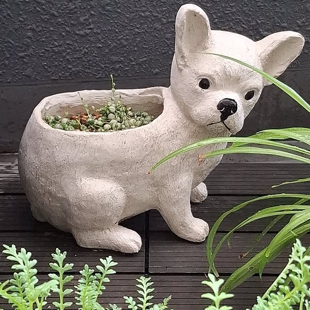 noaさんの実例写真