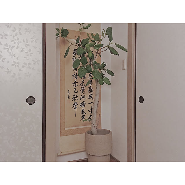 SHIOKONBUさんの実例写真