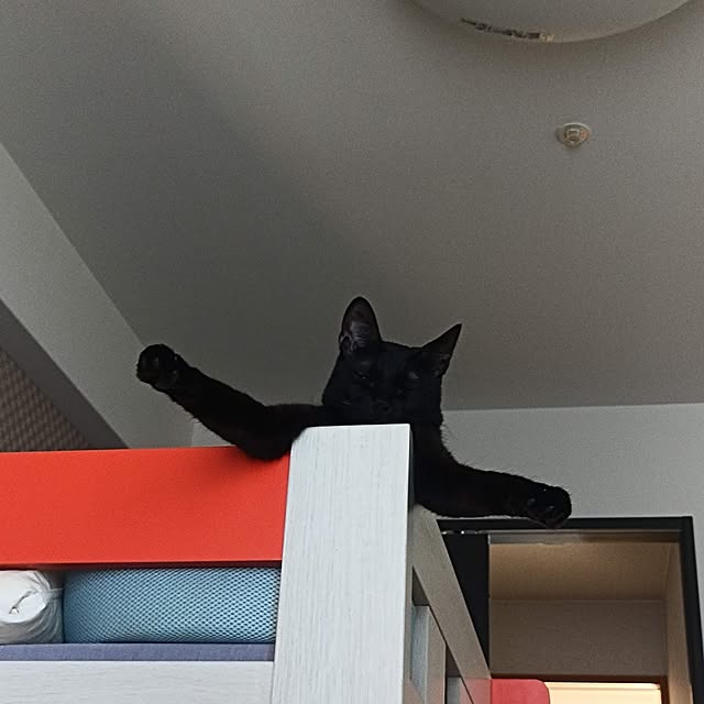 anayoikoさんの実例写真