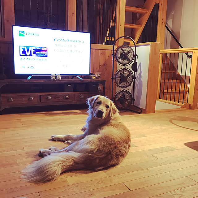 fukugakitaさんの実例写真