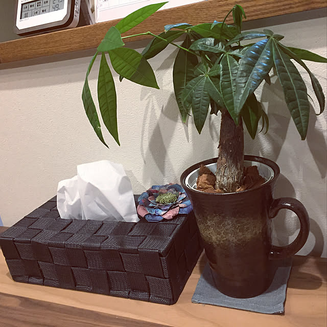 koroさんの実例写真