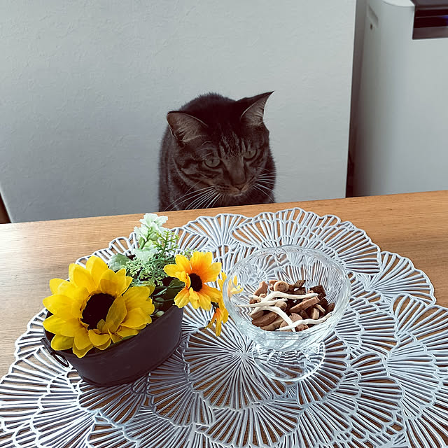 hihaさんの実例写真