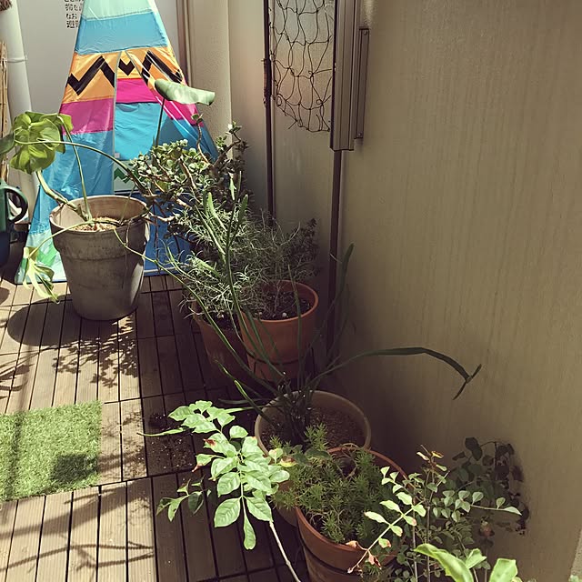 sachipon0801さんの実例写真