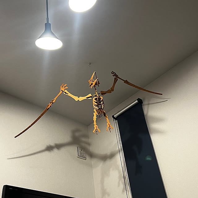 saboさんの実例写真