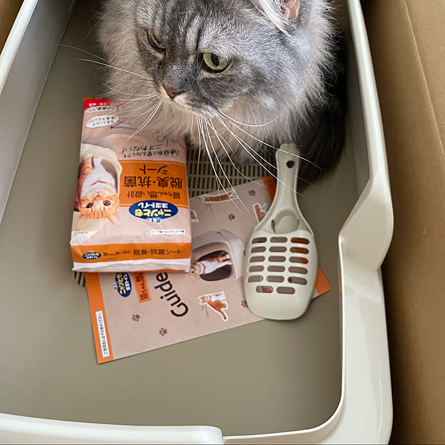 naoさんの実例写真