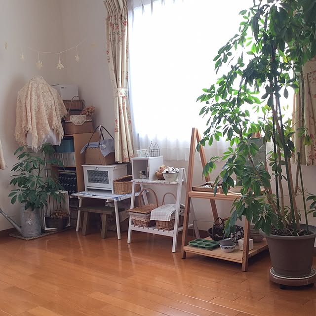 mippoko345さんの実例写真