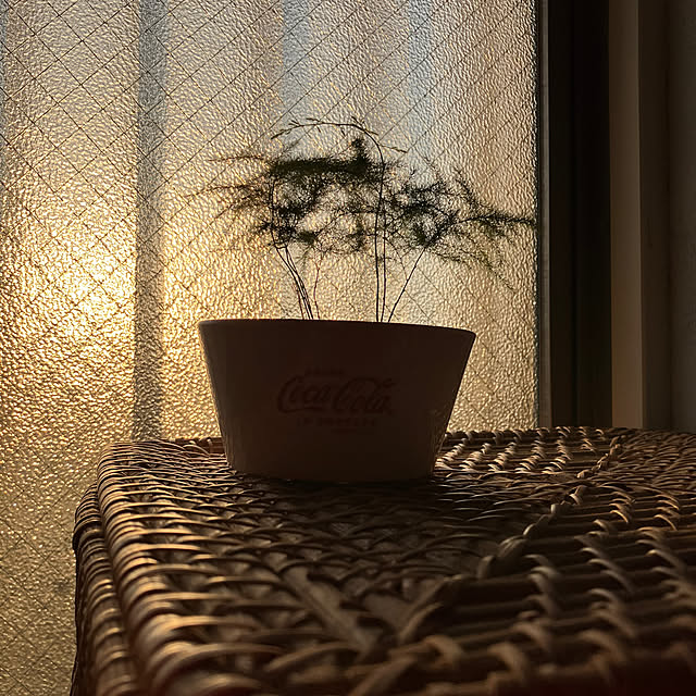 koshiregutyoさんの実例写真