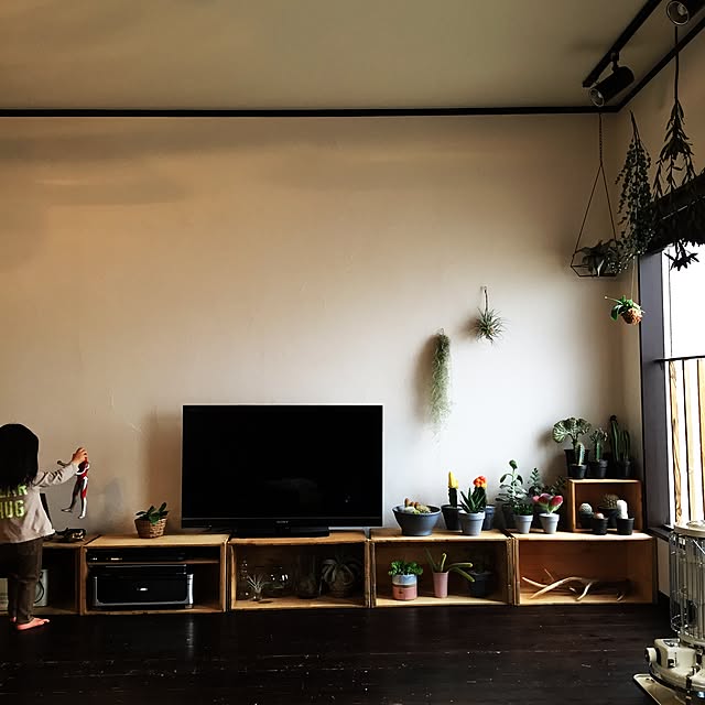 romimushiさんの実例写真