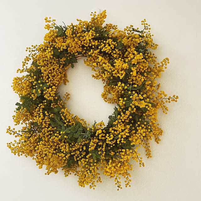 Haruka-3.y.m.a.nさんの部屋