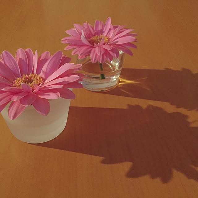 ao___.さんの実例写真