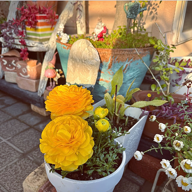 takakoさんの実例写真