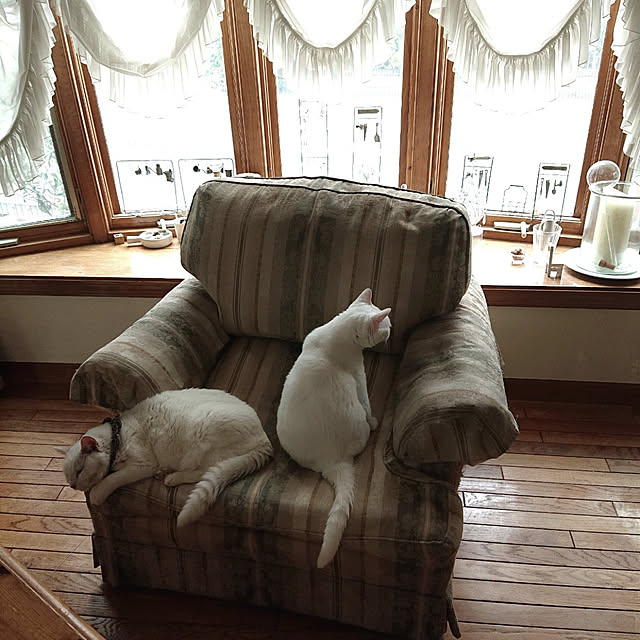 Ohigeさんの実例写真