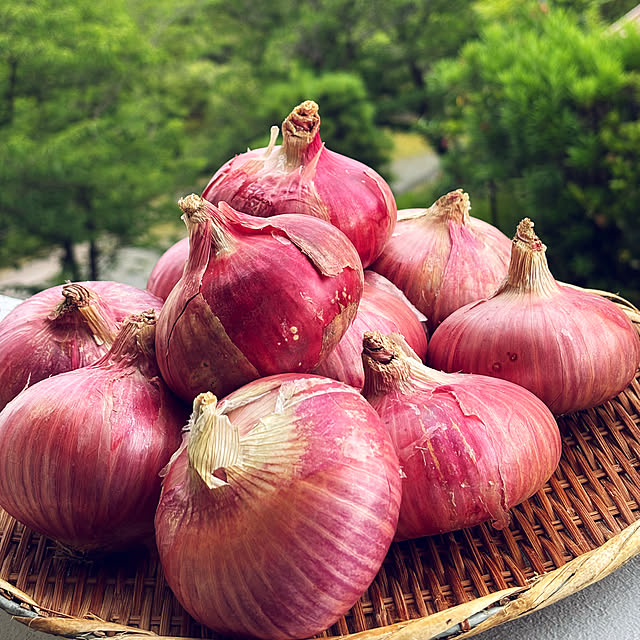 syutmmさんの実例写真