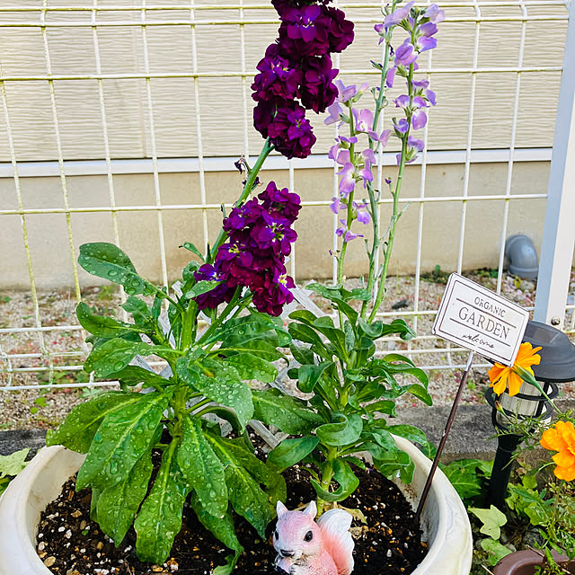 Rikimaさんの部屋