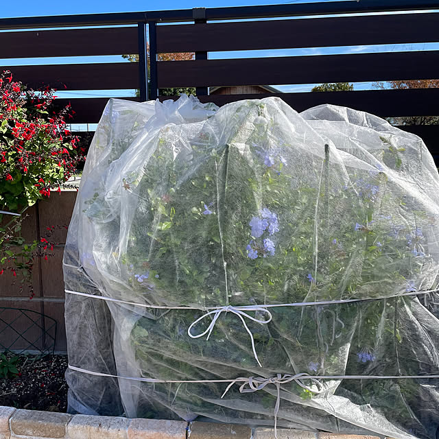 ronronさんの部屋