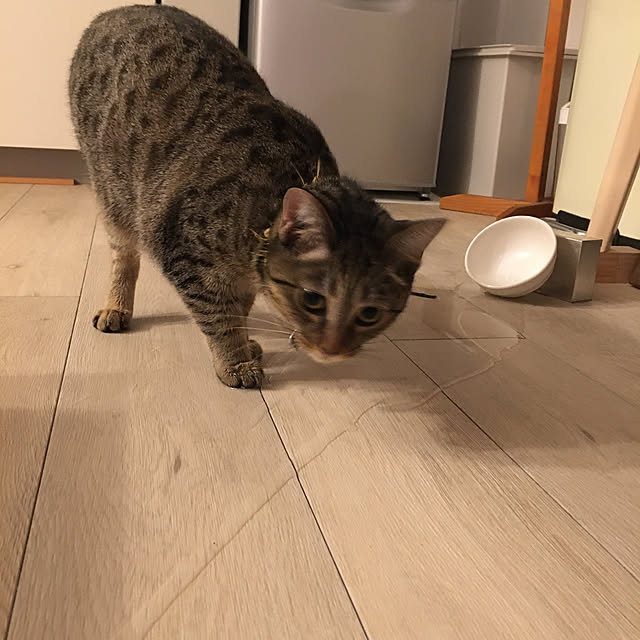 Mさんの実例写真