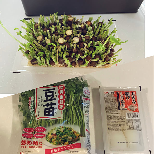 再利用/観葉植物/キッチンのインテリア実例 - 2021-05-15 21:54:40