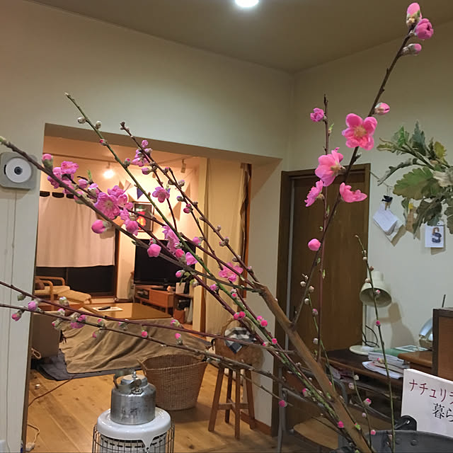 キッチン/桃の花のインテリア実例 - 2019-02-06 08:02:46