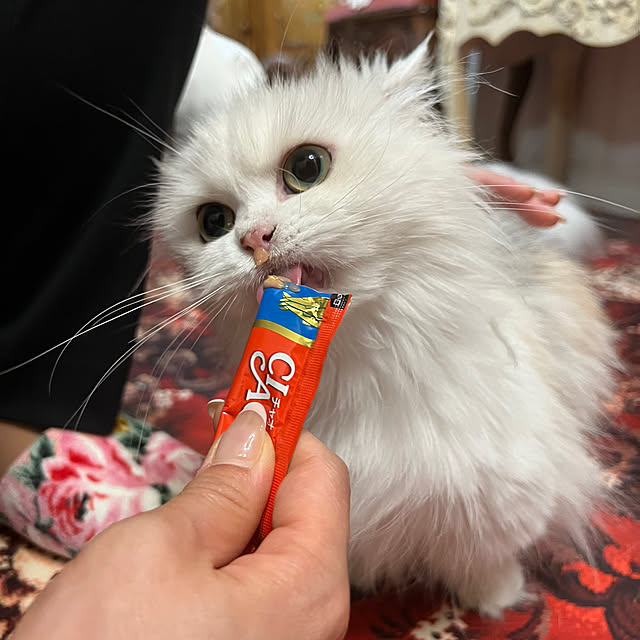 AYUKOさんの実例写真