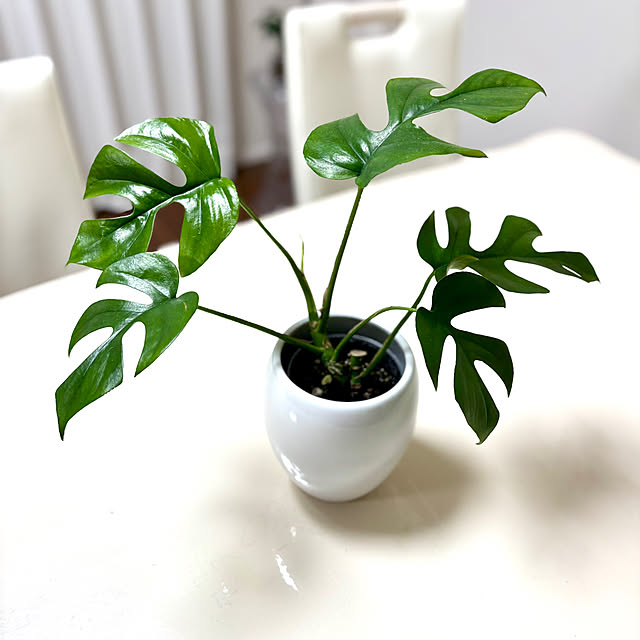 Kanmiさんの部屋