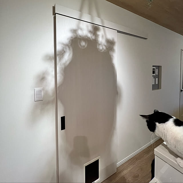 neko_daisukiさんの実例写真
