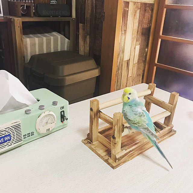 ai-nさんの実例写真