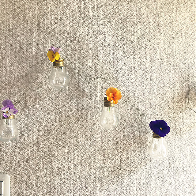 植物のある暮らし/セリア/玄関/入り口のインテリア実例 - 2021-03-16 12:52:07