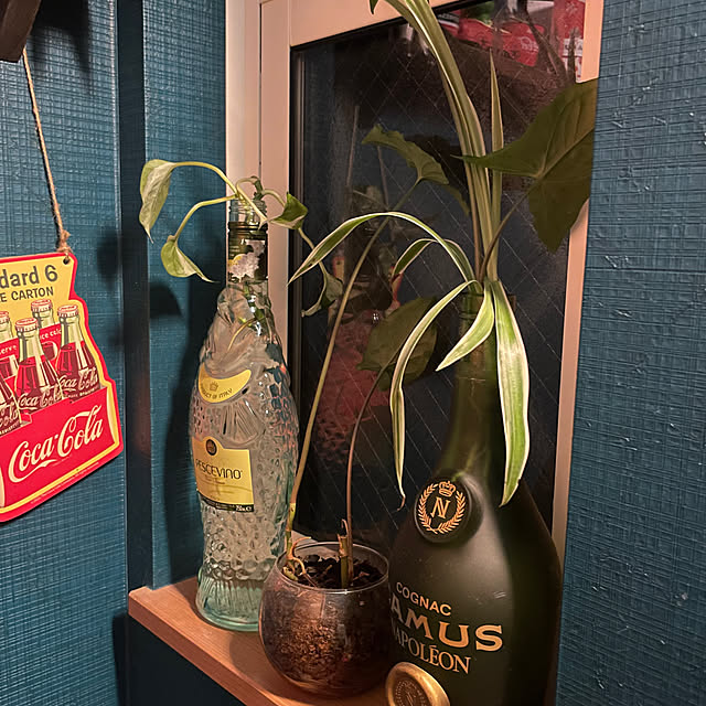 ikuzakさんの部屋