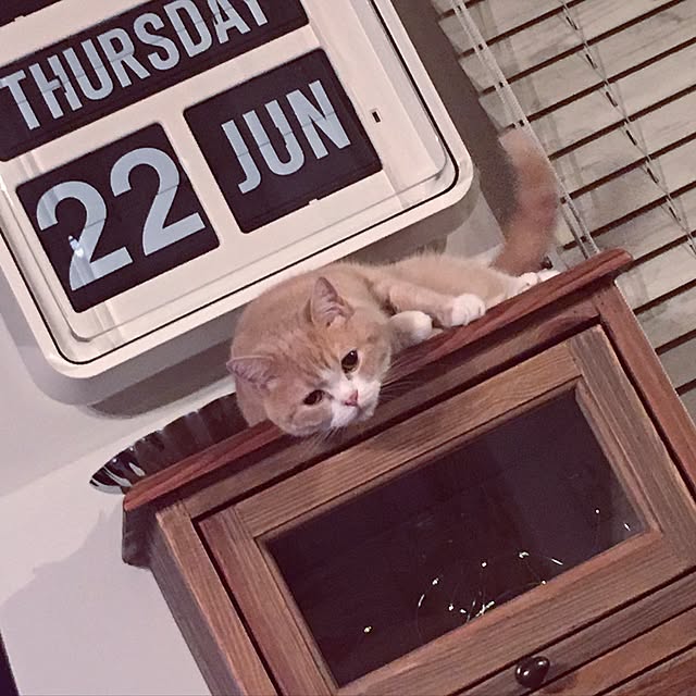 maruさんの実例写真