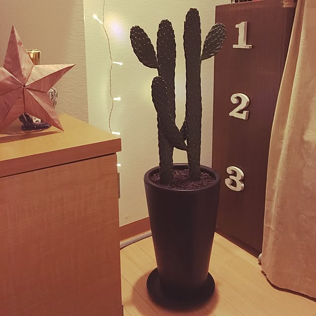 mattuchamaさんの実例写真