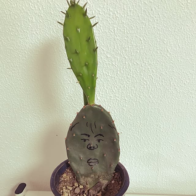 mariaさんの実例写真
