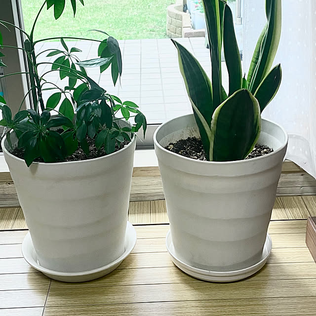 YuuKoさんの部屋